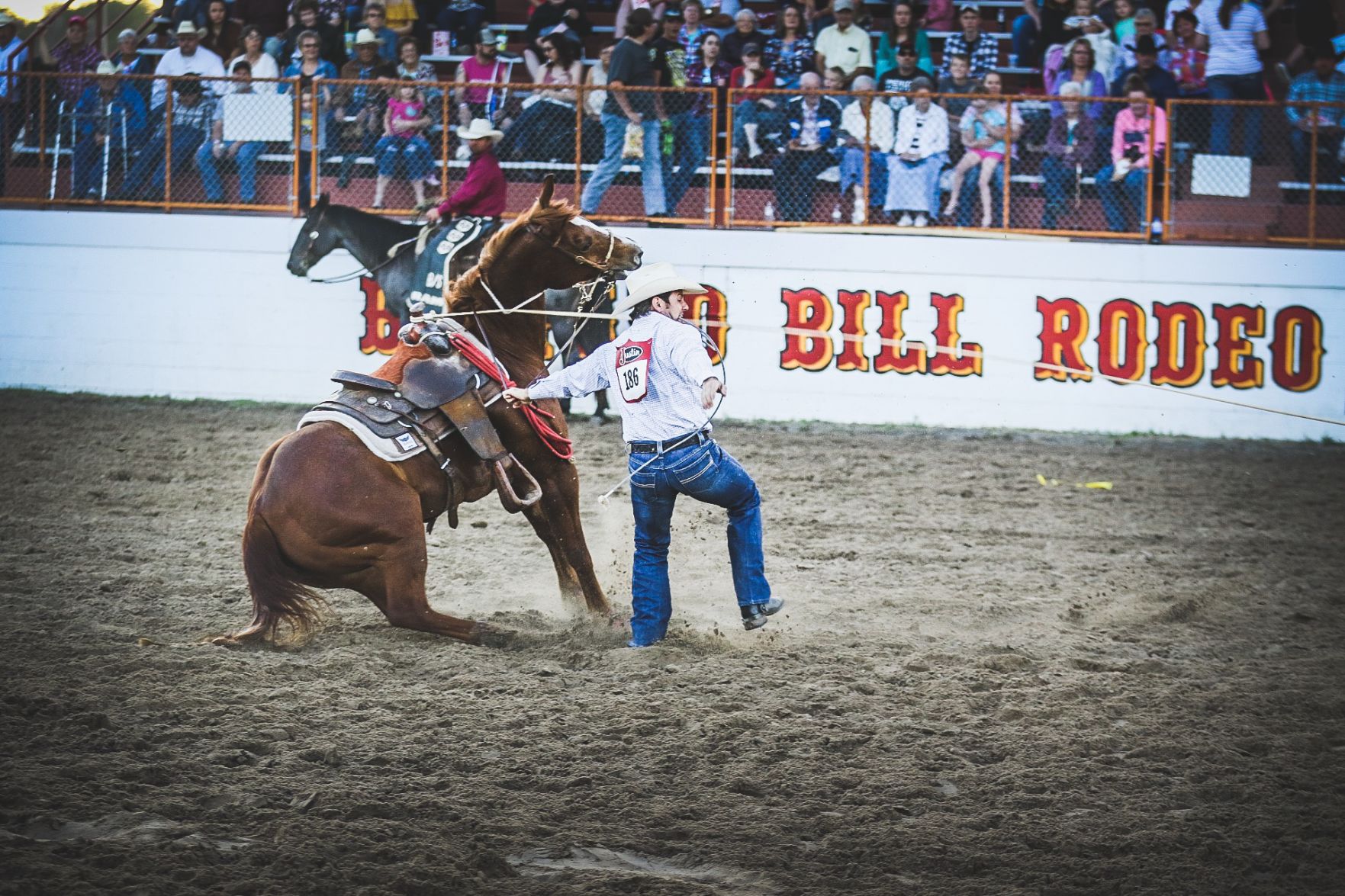 Buffalo Bill Rodeo Night 1 (20).jpg